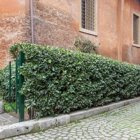 Daire Imperial Forum In Roma